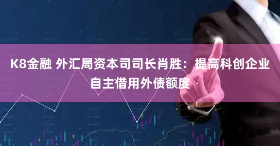 K8金融 外汇局资本司司长肖胜：提高科创企业自主借用外债额度
