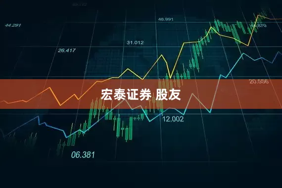 宏泰证券 股友